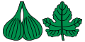 Fig fruits and leaf.svg