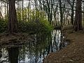 * Nomination Stream Hausbäke at Schlossgarten (palace garden) in Oldenburg. Lower Saxony, Germany --Basotxerri 15:48, 20 December 2016 (UTC) * Promotion Nice.--Famberhorst 17:03, 20 December 2016 (UTC)