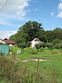 Čeština: Kařízský dub - dub letní (Quercus robur). Okres Rokycany, Česká republika. English: Kařízský dub (memorable tree) - English oak (Quercus robur), Rokycany District, Czech Republic.