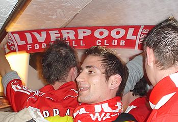 Lfc scarf