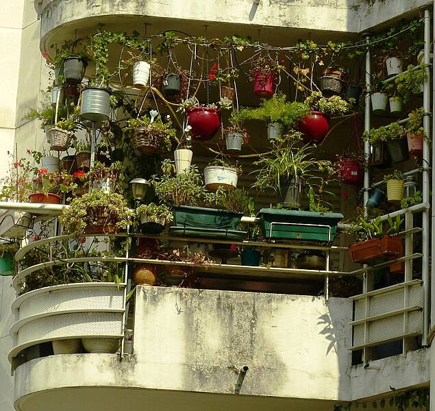 File:Balcon et plantes en pot.jpg