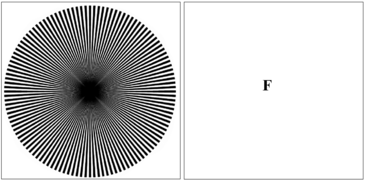 January 10: An optical illusion. Stare at the figure for 10s and then switch gaze to the (F).