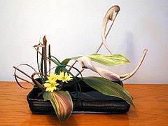 Ikebana