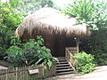 Babirusa enclosure