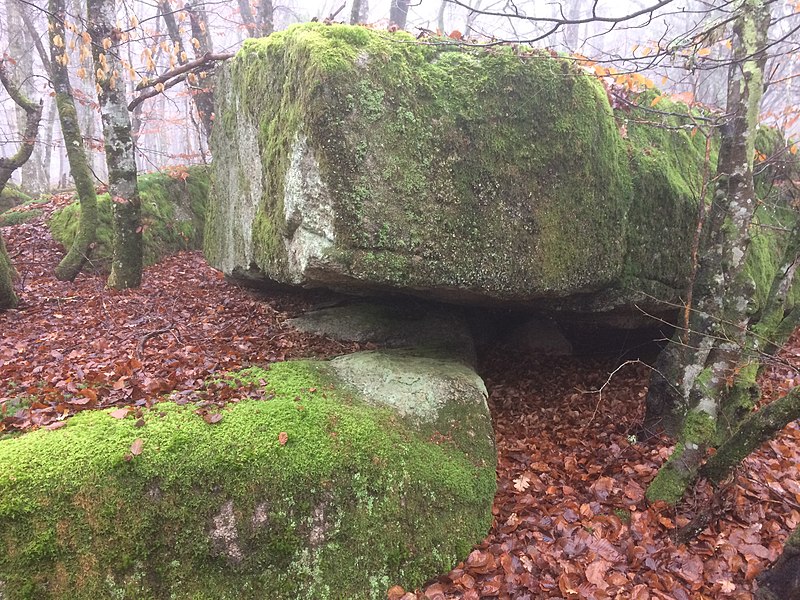 File:Flyttblock i Skärrva naturreservat.jpg