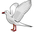 Seagull rising.svg