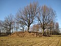 * Nomination The Krinkberg is a prehistoric burial mound. --Nightflyer 02:22, 21 October 2024 (UTC) * Promotion Good quality --Michielverbeek 07:00, 21 October 2024 (UTC)