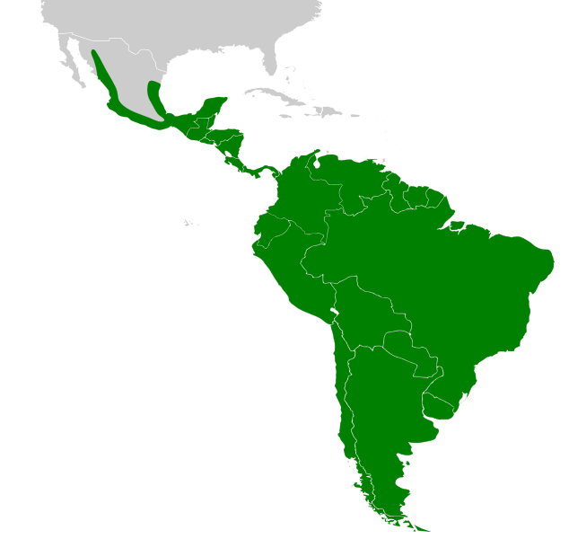 File:Furnariidae map.svg