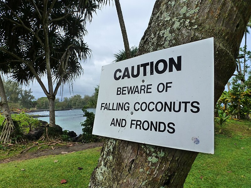 File:Hilo falling coconut warning sign.jpg