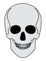 Heraldic skull with many teeth.svg