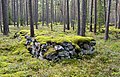 * Nomination Stone stacks in Naissaar forest --Iifar 19:21, 24 January 2012 (UTC) * Promotion very nice, i like the colors --Ralf Roletschek 11:20, 25 January 2012 (UTC)