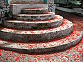 "Malinche_(Delonix_regia)_flower_petals.jpg" by User:Elemaki