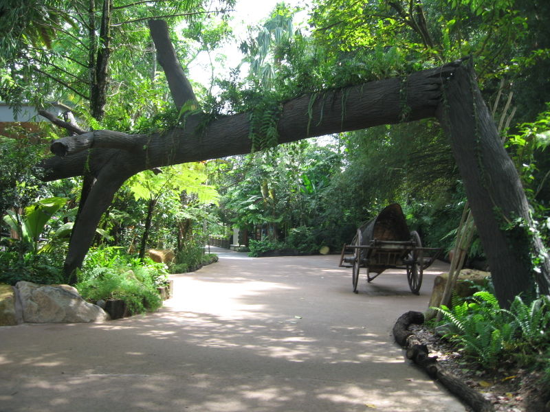 File:Singapore Zoo 9.JPG