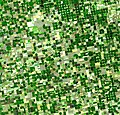 "Crops_Kansas_AST_20010624.jpg" by User:Howcheng