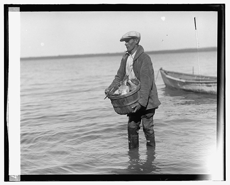 File:Shad fishing on Potomac LCCN2016820123.jpg