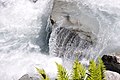 * Nomination Weisse Lütschine, a mountain creek in Lauterbrunnen Valley, Switzerland --Simisa 15:25, 6 August 2009 (UTC) * Decline Otherwise good, but the foreground distracts me too much. --kallerna 20:51, 8 August 2009 (UTC)