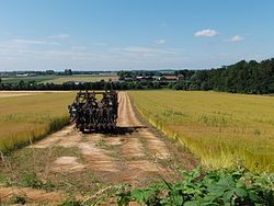 Noordpeene vers la Réserve naturelle régionale des prairies du Schoubrouck.- Nord-Pas-de-Calais.