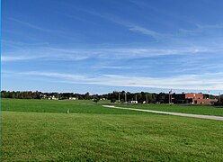 Rickman-Elementary-fields-tn1.jpg