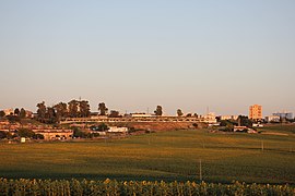 Campiña de Jerez IMG 6110.jpg