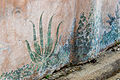 * Nomination Painted plants frescos, wall of a garden, Pompeii archaeological site, Italy.--Jebulon 14:13, 6 October 2015 (UTC) * Promotion Good quality. --Zcebeci 14:37, 6 October 2015 (UTC)