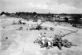 Marines at drill with three 40 mm Bofors guns, Chatham Camp, Colombo, Ceylon, September 1943