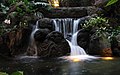 Waterfall at the Polynesian