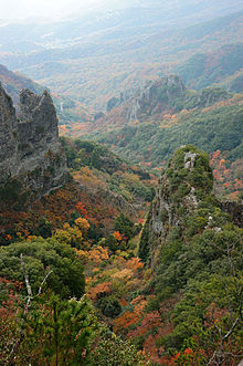 201211Kankakei Shodoshima Kagawa pref Japan08s3.jpg