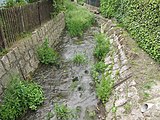 Čeština: Chotiměřský potok v Chotiměři. Okres Litoměřice, Česká republika. English: Chotiměřský Stream in Chotiměř village, Litoměřice District, Czech Republic.