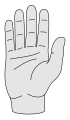 Hand apaumy couped.svg