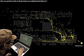 Data Visualization of Street Trees.jpg