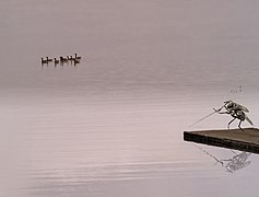 Fly-fishing IMG 9727.jpg