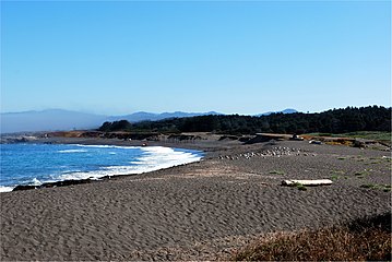 MacKerricher Beach