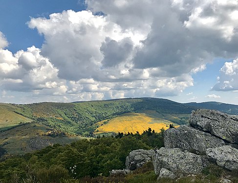 Sur le sentier de grande randonnée GR7