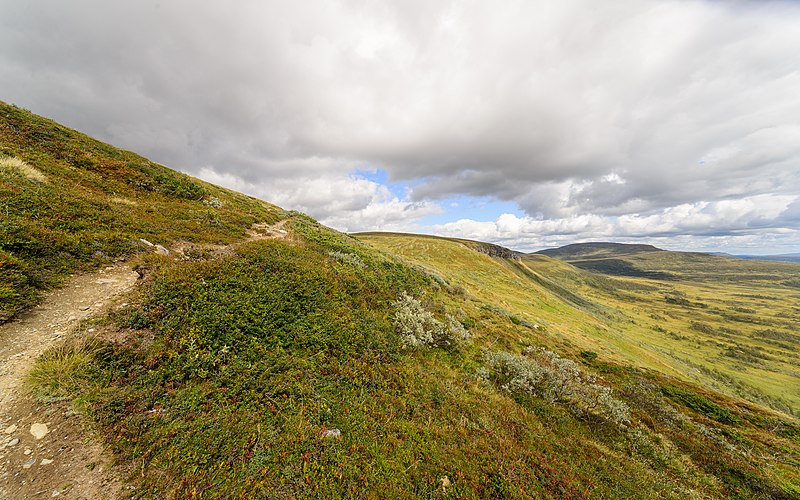 File:Hamrafjället August 2018 22.jpg