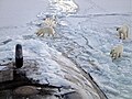 Inspecting a submarine, 86°N, 450km from the North Pole