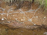 Čeština: Obnažený břeh Medoújezdského potoka. Okres Rokycany, Česká republika. English: Uncovered bank of Medoújezdského Stream, Rokycany District, Czech Republic.