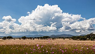 Large cloud over Mexican landscape