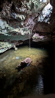 Thumbnail for File:Sunlit Cenote.jpg