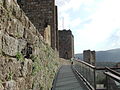 Monteriggioni city walls