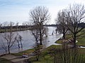 River Main floods in Frankfurt-Sindlingen