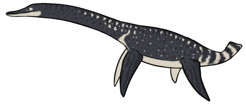 File:Life reconstruction of Serpentisuchops pfisterae.png