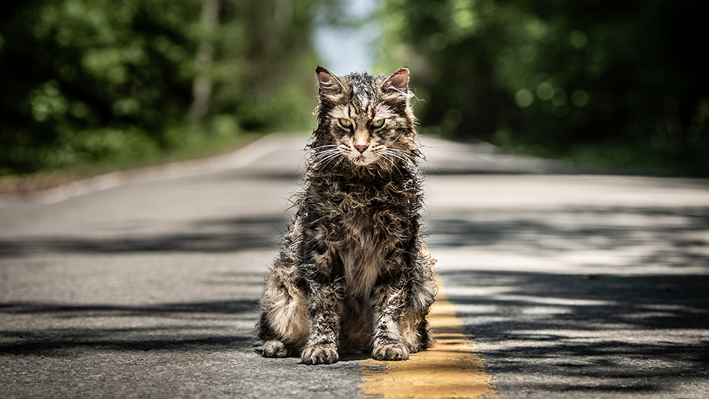 PET SEMATARY