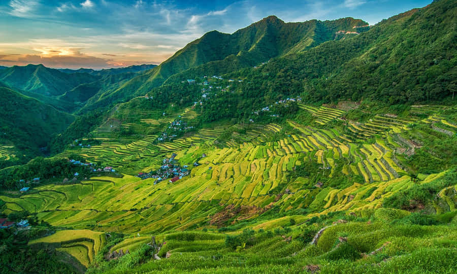 Banaue Rice Terraces Fondo de pantalla