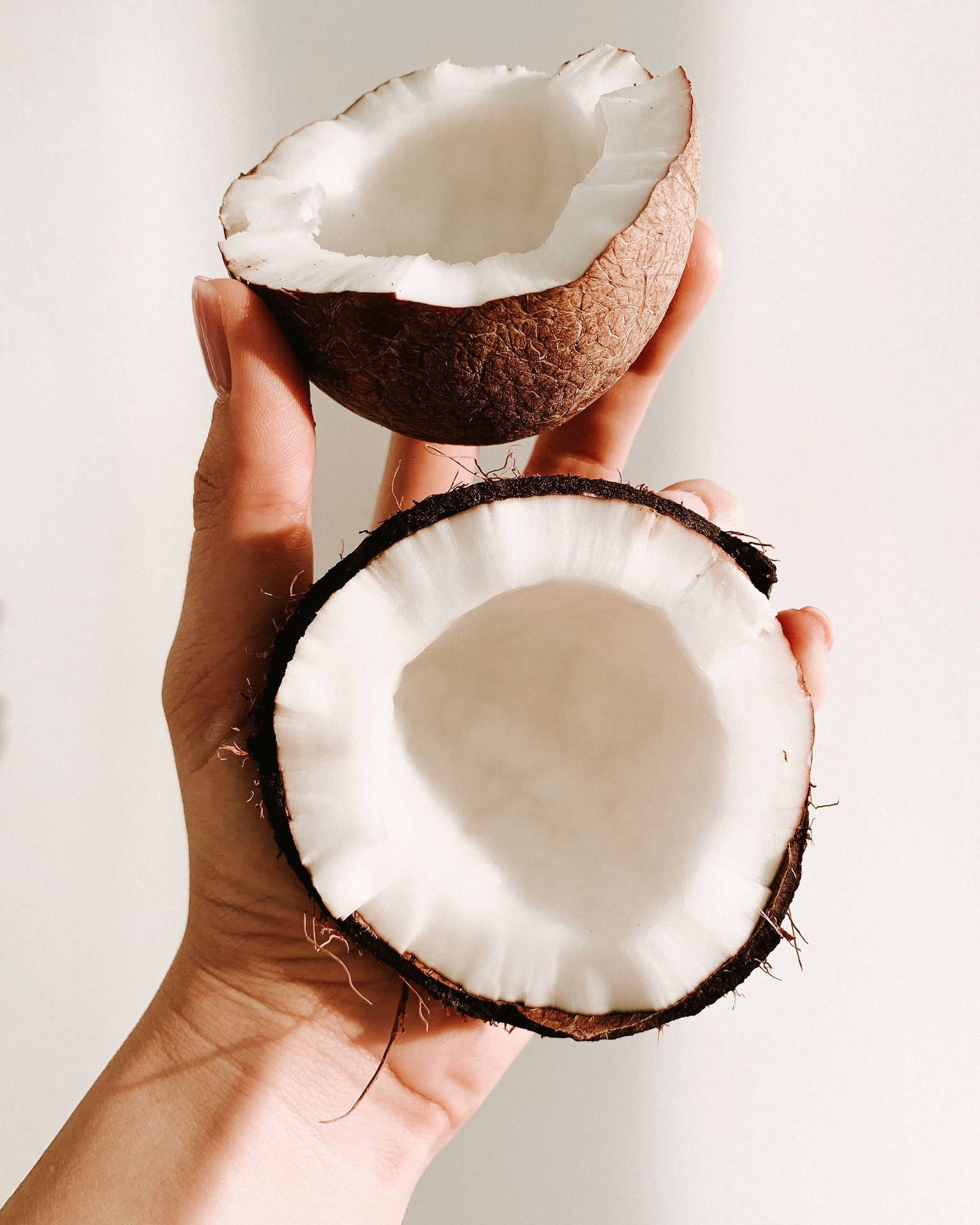 Coconut Wallpaper