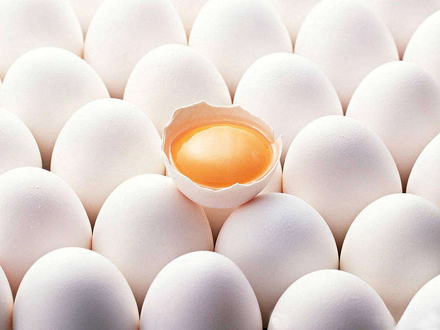 Eggs Wallpaper