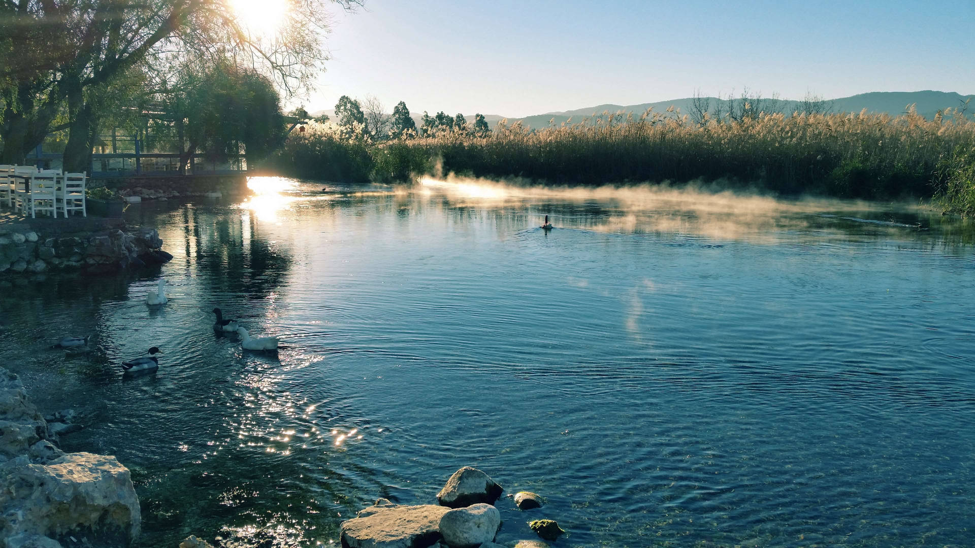 Fondods De Riverside