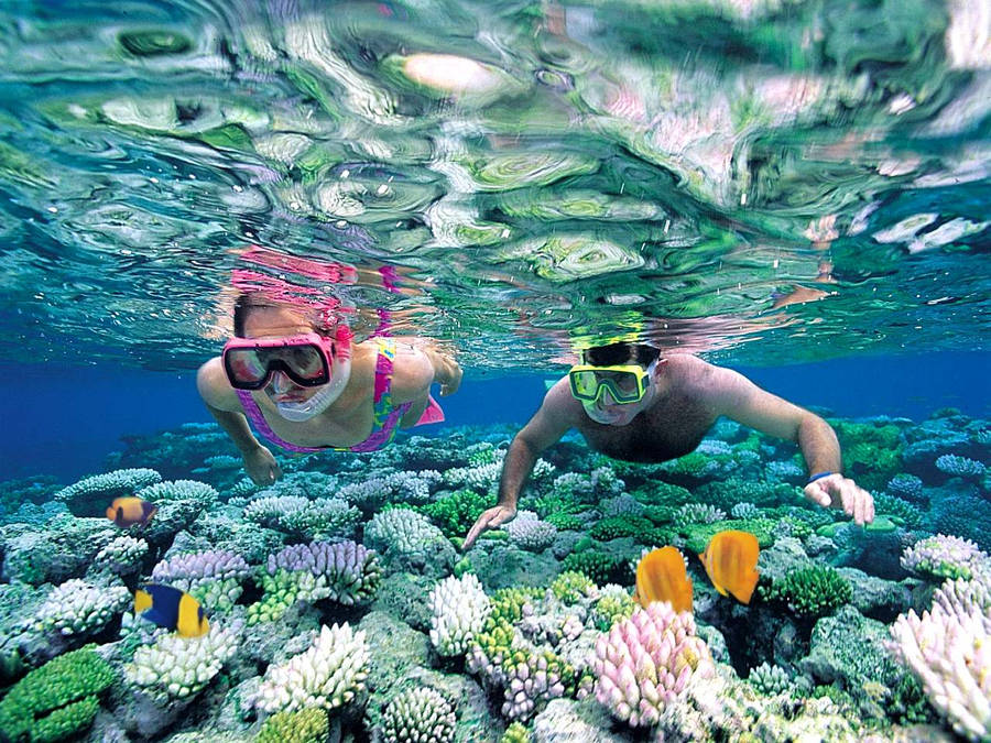 Fondods De Snorkeling