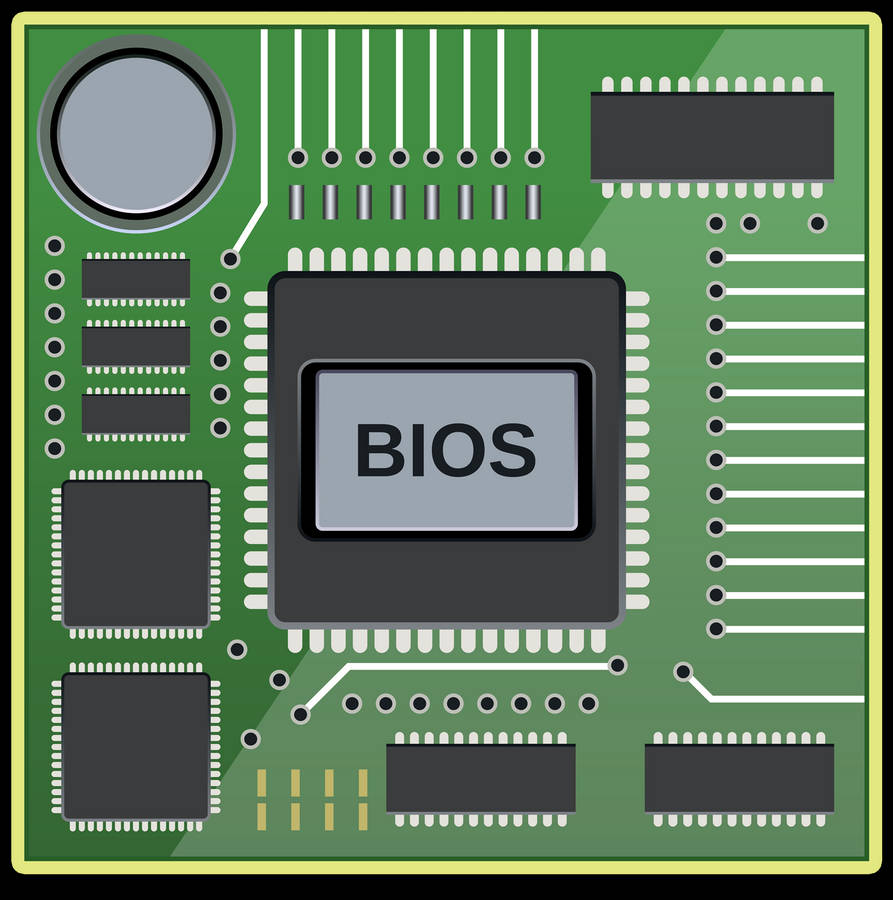 Fondos De Bios