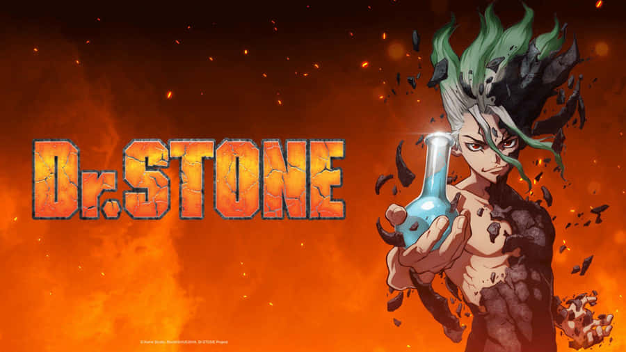 Fondos De Dr Stone