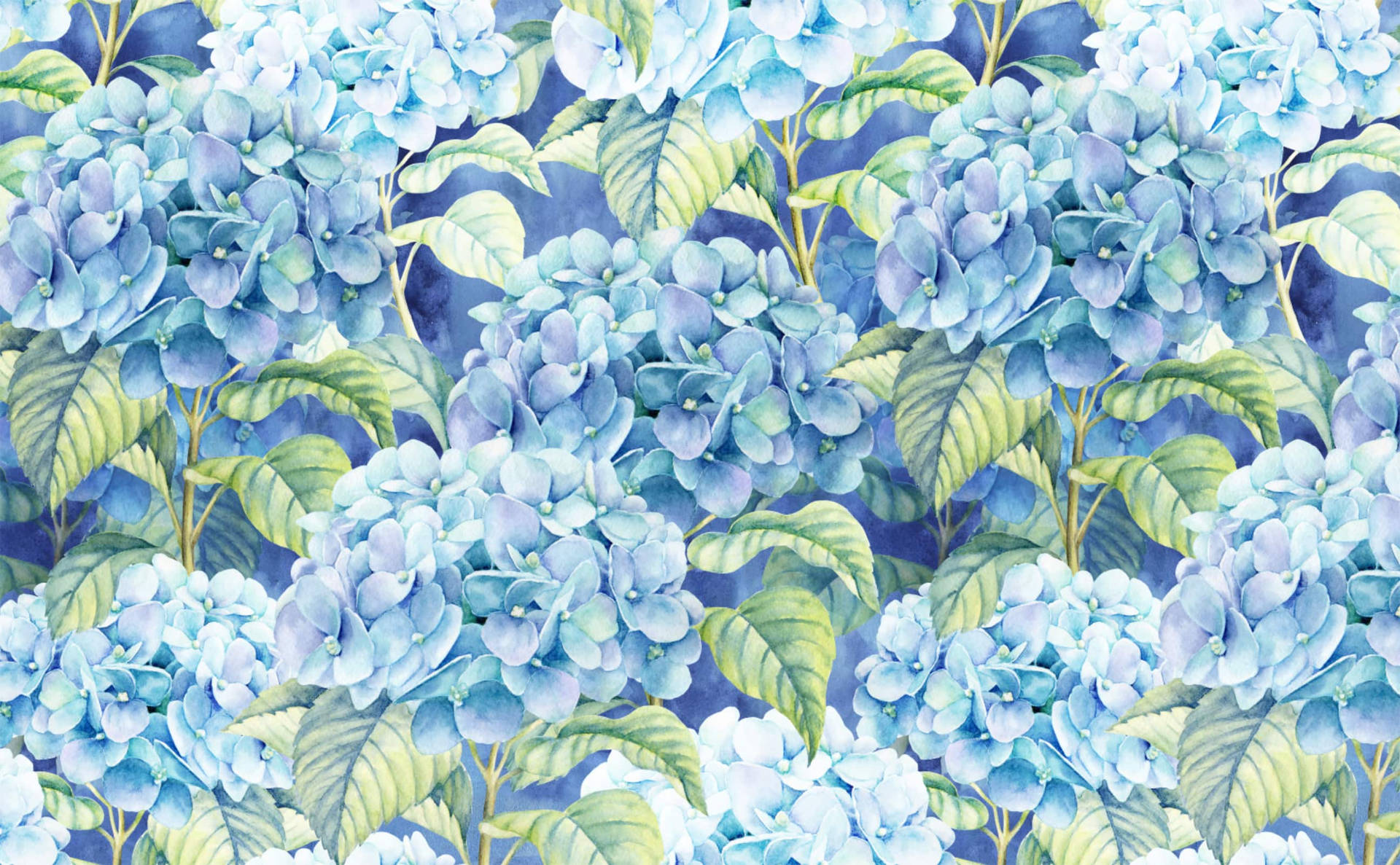 Hydrangea Wallpaper